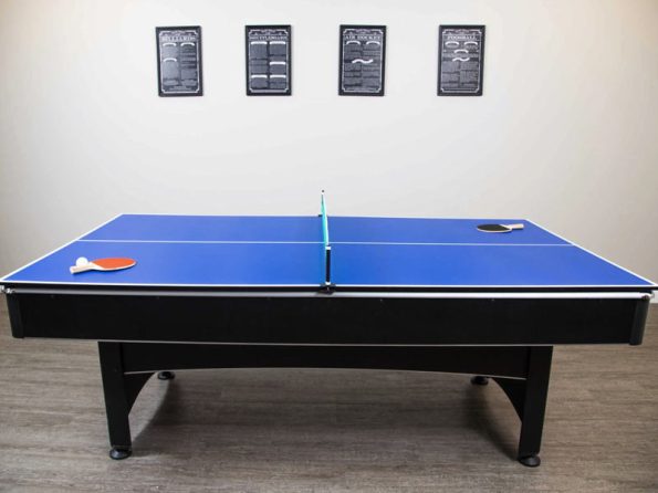 Table Tennis/Hard Cover Top for the Viper
